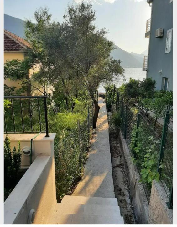 Apartments Boka Blue Dobrota Kotor Exterior foto